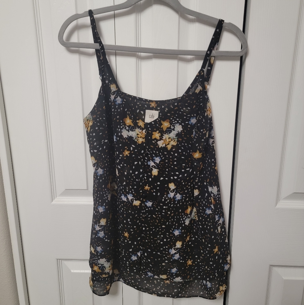 Cluster Cami